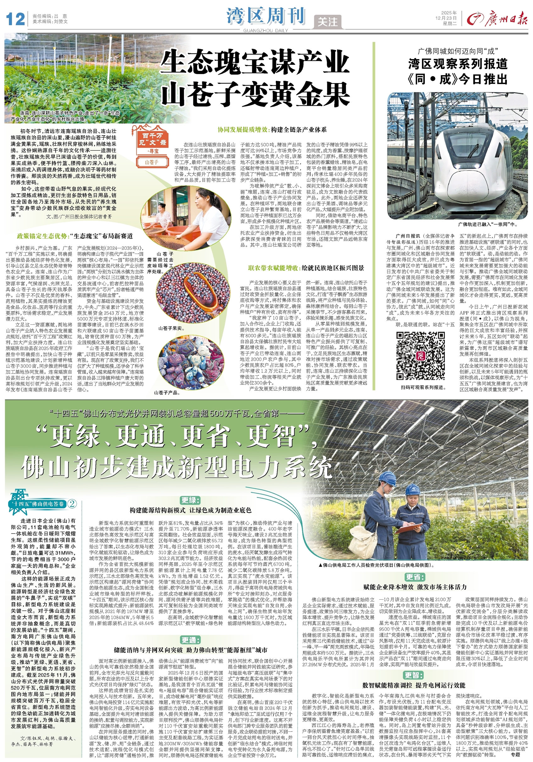 广州日报数字报-湾区周刊·关注